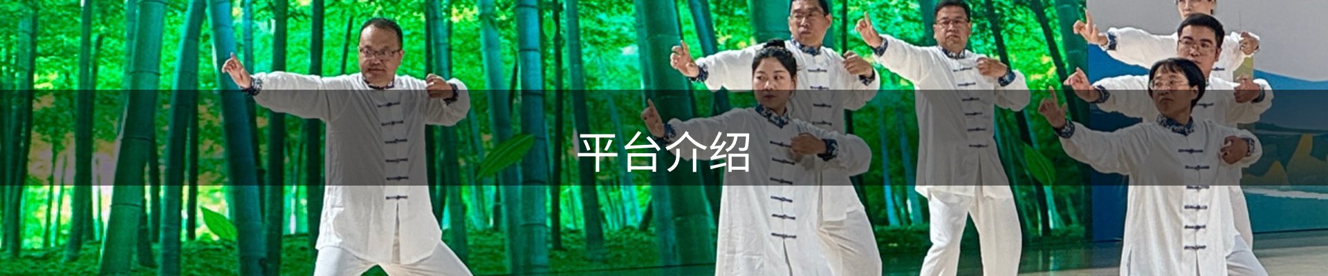 平台介绍