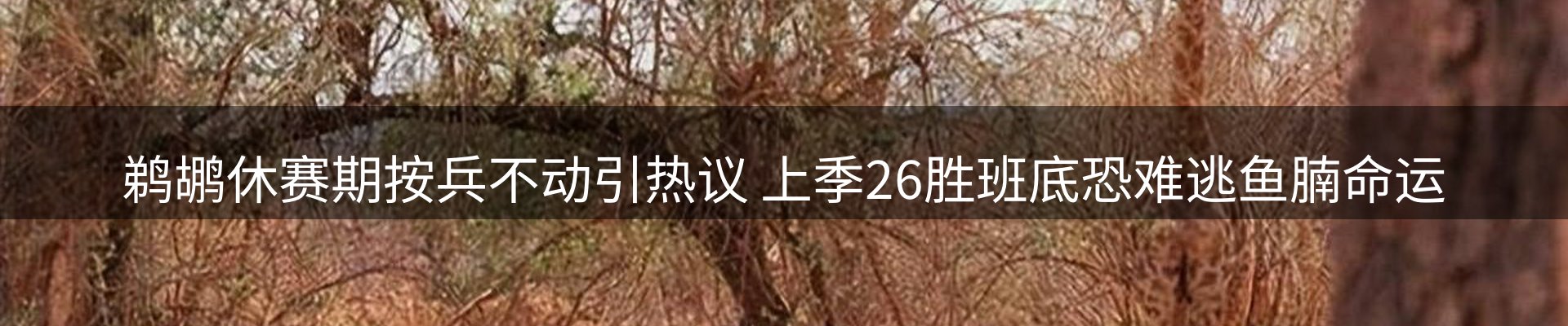 最新资讯